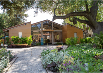 Hafsa Burt, Leading the Scene and Keeping it Green