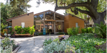 Hafsa Burt, Leading the Scene and Keeping it Green