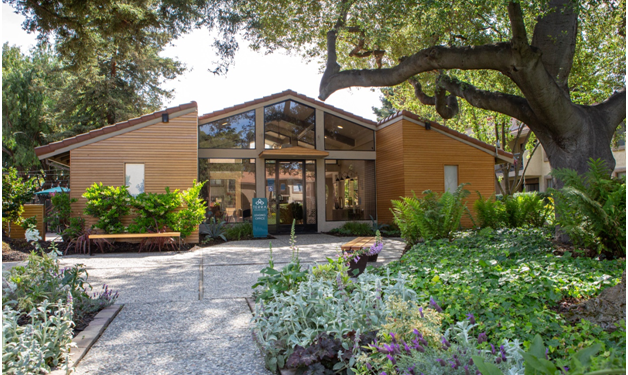 Hafsa Burt, Leading the Scene and Keeping it Green