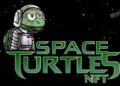 The SpaceTurtles, A New NFT that is looking to Revolutionize the Future of Clothing & Digital Blockchain