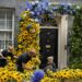 UK shows Ukraine solidarity with sunflower display
