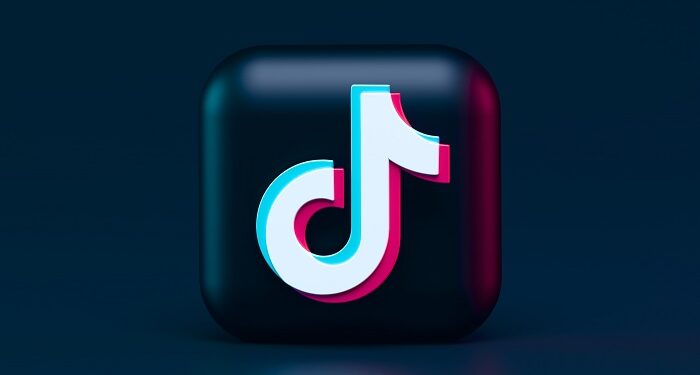 „I’ll make the money back“– the new Tiktok trend