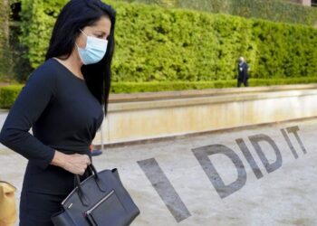 A Must – Read Book I Did It  – The Story of Gina Champion Cain The Largest Woman-Led Ponzi Scheme in U.S. History