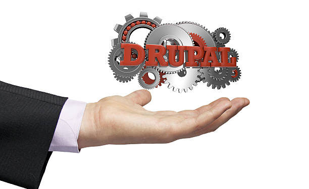 The best Drupal development service provider