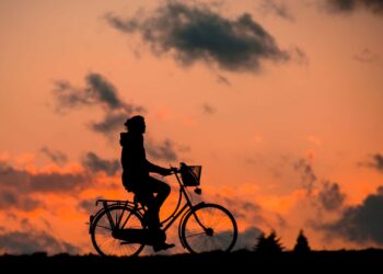 Ten Reasons to Travel By Bike