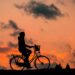 Ten Reasons to Travel By Bike