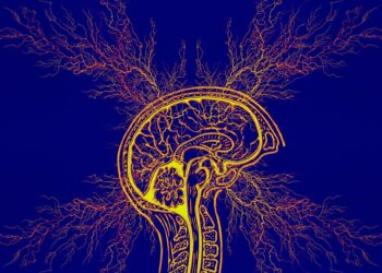 Private ADHD Assessment Specialist in London for Adults: Getting the Help You Need.