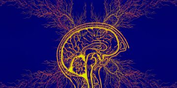 Private ADHD Assessment Specialist in London for Adults: Getting the Help You Need.