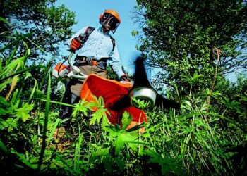 Winter Gardening Tips for UK Avid Gardeners