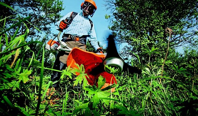 Winter Gardening Tips for UK Avid Gardeners