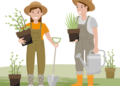 Revitalize Your Outdoor Haven: A Guide to Garden Renovation