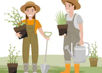 Revitalize Your Outdoor Haven: A Guide to Garden Renovation
