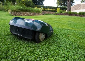 The Evolution of Robot Mowers: From Luxury Gadgets to Household Essentials