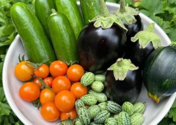 5 Common Grow-Your-Own Mistakes and How to Avoid Them This National Gardening Day