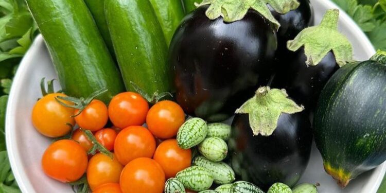 5 Common Grow-Your-Own Mistakes and How to Avoid Them This National Gardening Day