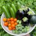 5 Common Grow-Your-Own Mistakes and How to Avoid Them This National Gardening Day