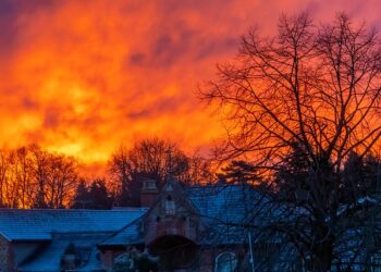 Relocating in Surrey? Here’s How to Make It Simple