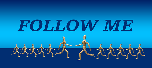 How Real Followers Shape Online Credibility