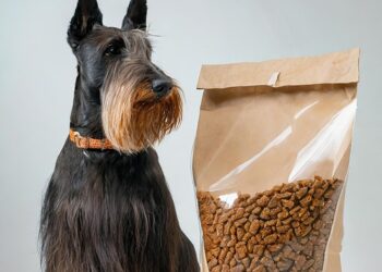 Canine Food Allergies: Symptoms, Testing, and Diet Solutions