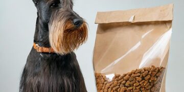 Canine Food Allergies: Symptoms, Testing, and Diet Solutions
