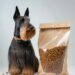 Canine Food Allergies: Symptoms, Testing, and Diet Solutions