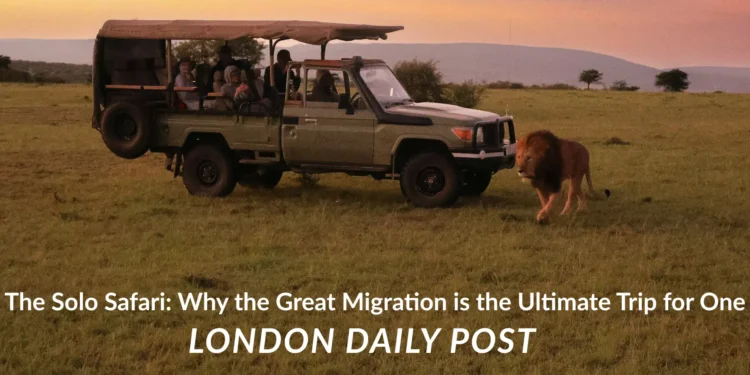 The Solo Safari Trip