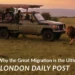 The Solo Safari Trip