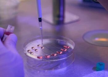 A Speculative Exploration of GHRP and CJC-1295 Synergy in Research Contexts