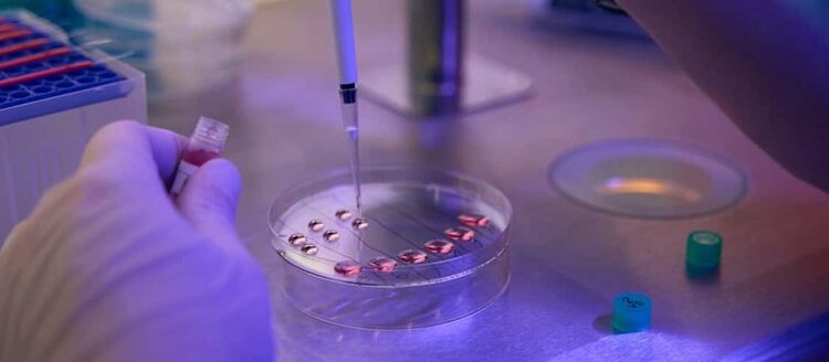 A Speculative Exploration of GHRP and CJC-1295 Synergy in Research Contexts