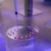 A Speculative Exploration of GHRP and CJC-1295 Synergy in Research Contexts