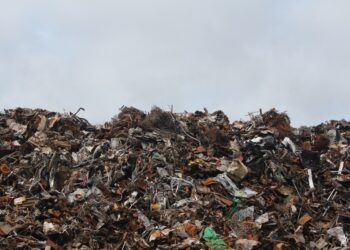 The Most Common Junk Left Behind After a Renovation