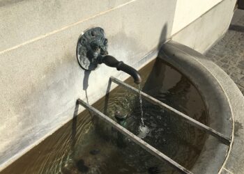 Common Signs of Water Damage in Your London Home & What They Could Mean