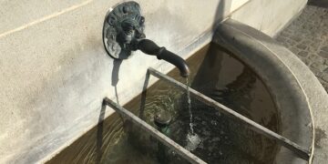 Common Signs of Water Damage in Your London Home & What They Could Mean